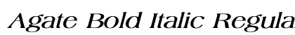 Agate Bold Italic Regular Font Agate Bold Italic Regular Font Preview