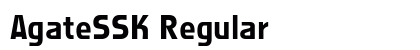 AgateSSK Regular Font AgateSSK Regular Font Preview