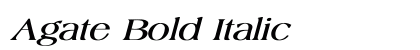 Agate Bold Italic Font Agate Bold Italic Font Preview