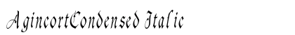 AgincortCondensed Italic Font Preview AgincortCondensed Italic Font Preview