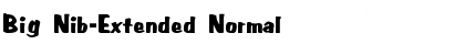 Big Nib-Extended Normal