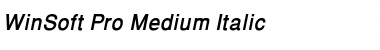 WinSoft Pro Medium Italic