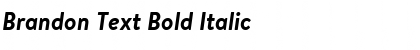 Brandon Text Bold Italic