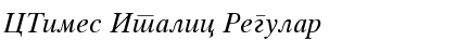 CTimes Italic Regular Font