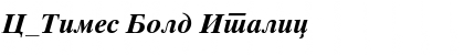 C_Times Bold Italic