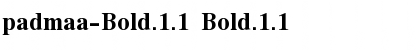 padmaa-Bold.1.1 Bold.1.1 Font