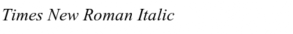 Times New Roman Italic Font