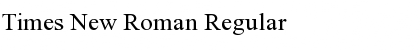 Times New Roman Regular Font