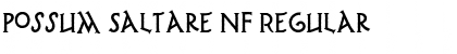 Possum Saltare NF Regular Font