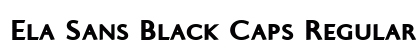 Ela Sans Black Caps Regular Font Ela Sans Black Caps Regular Font Preview