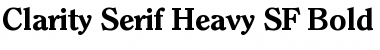 Download Clarity Serif Heavy SF Font