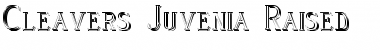 Download Cleaver's_Juvenia_Raised Font