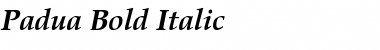 Padua Bold Italic