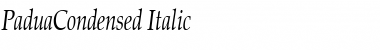 PaduaCondensed Italic Font