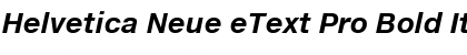 Helvetica Neue eText Pro Bold Italic Font