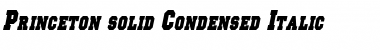 Download Princeton solid Condensed Font