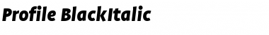 Profile Black Italic Font