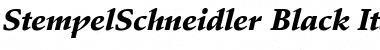 StempelSchneidler-Black Font