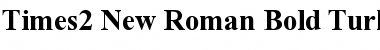 Times2 New Roman Font