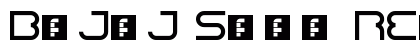 Bajaj Sans Regular Font Preview Bajaj Sans Regular Font Preview