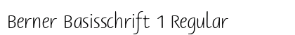 Berner Basisschrift 1 Regular Font Berner Basisschrift 1 Regular Font Preview