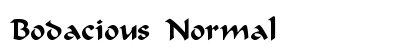 Bodacious Normal Font Bodacious Normal Font Preview