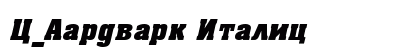 C_Aardvark Italic Font Preview C_Aardvark Italic Font Preview