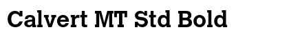 Calvert MT Std Bold (OpenType) Font Preview Calvert MT Std Bold (OpenType) Font Preview