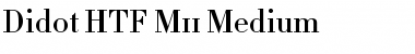 Didot Medium Font