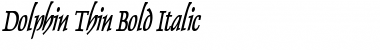 Dolphin Thin Bold Italic Font