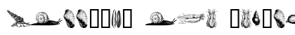 mollusks one Regular Font mollusks one Regular Font Preview