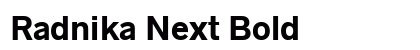 Radnika Next Bold Font Preview Radnika Next Bold Font Preview