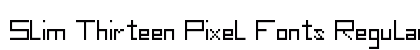 Slim Thirteen Pixel Fonts Regular Font Slim Thirteen Pixel Fonts Regular Font Preview