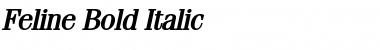 Feline Bold Italic Font