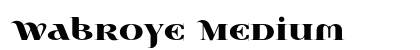Wabroye Medium (OpenType) Font Preview Wabroye Medium (OpenType) Font Preview