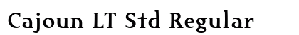 Cajoun LT Std Regular Font Preview Cajoun LT Std Regular Font Preview