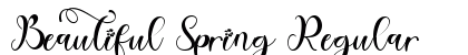 Beautiful Spring Regular Font Beautiful Spring Regular Font Preview