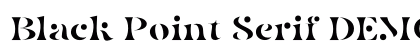 Black Point Serif DEMO Regular Font Black Point Serif DEMO Regular Font Preview