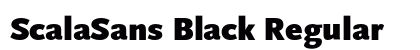 ScalaSans Black Regular Font ScalaSans Black Regular Font Preview