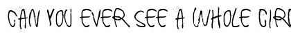 Can you ever see a whole circle Regular Font Preview Can you ever see a whole circle Regular Font Preview