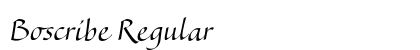 Boscribe Regular Font Boscribe Regular Font Preview
