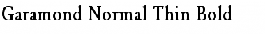 Garamond-Normal Thin Bold Font