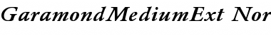 Download GaramondMediumExt-Normal-Italic Font