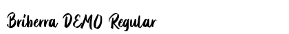 Briberra DEMO Regular Font Briberra DEMO Regular Font Preview