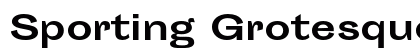 Sporting Grotesque Bold Font Sporting Grotesque Bold Font Preview