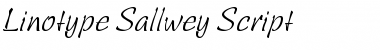 LTSallwey Script Regular Font