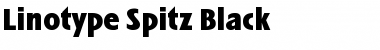 LTSpitz Book Bold Font