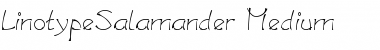 Download LTSalamander Medium Font