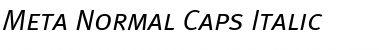 Meta Normal Italic Font