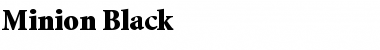 Download Minion-Black Font